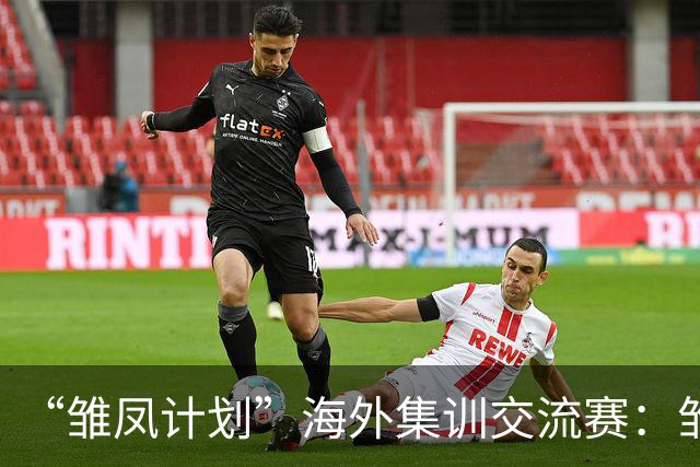 “雏凤计划”海外集训交流赛：雏凤U15队3-0赫塔费U16A队