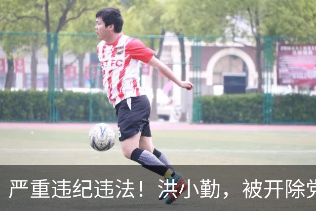 严重违纪违法！洪小勤，被开除党籍