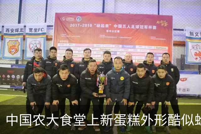 中国农大食堂上新蛋糕外形酷似蛤蟆走红，每块售价9.9元，学生：很多人抢购，就是抹茶口味