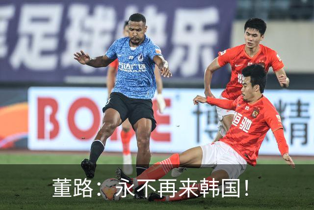 董路：永不再来韩国！
