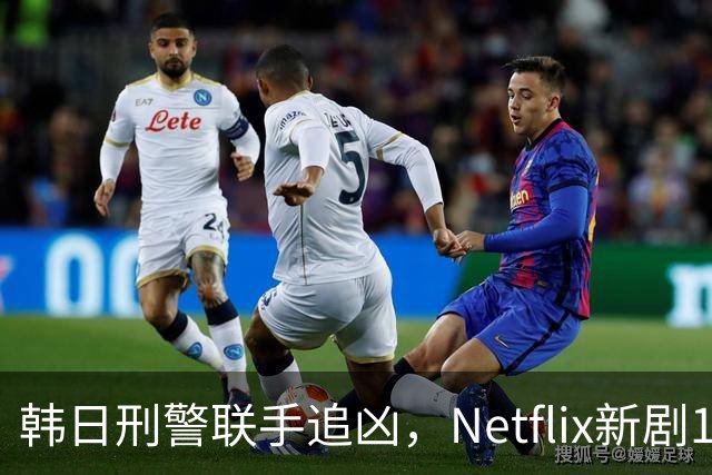 韩日刑警联手追凶，Netflix新剧11月20日上线