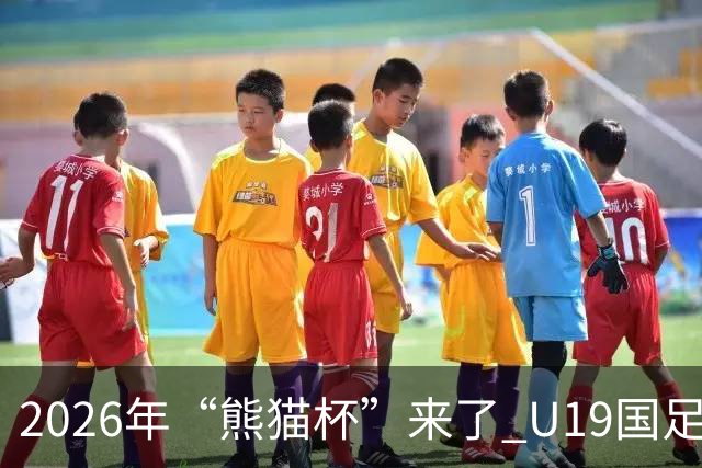 2026年“熊猫杯”来了 U19国足11月坐镇成都，首战越南末轮碰韩国